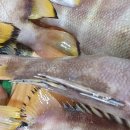 명성유통 이미지