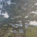 성왕산등산로 이미지