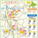 홋카이도 아비라쵸 나노하나 마츠리 (유채꽃 축제)