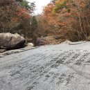 곡성-226 이미지