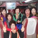 대문농장 이미지