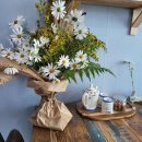 라메르해남 이미지