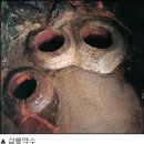 [황금연휴에 찾아가는 약수터 5선] 황금 같은 자연의 氣를 마신다 이미지