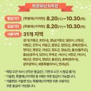 스마일민박 | 2025숙박세일페스타 후기, 추가할인, 체스터톤스속초 예약 후기