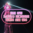 십정장터뽑기매니아 | 철원 가족 여행 노동당사 미디어아트 모을동빛 200% 즐기기