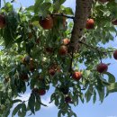 키움농장 이미지