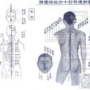 고서경맥도 13 독맥 28혈 이미지