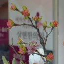 상현한의원 이미지