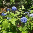 분당백제약국 이미지