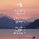 장터족발 네이버블로그