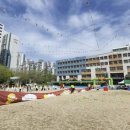 경기인터넷신문