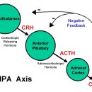 마음감기정신건강의학과의원 이미지