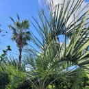 펜션 153 이미지