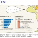 갱년기 증상은 왜 생기나? 이미지