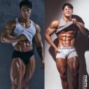 미녀와 야수짐 차암점 이미지