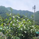 서당골사랑방 이미지