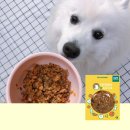 강아지맘마연구소 | 강아지 밥 얘기 ㅣ 치킨알러지 / 생선단백질 / 테라...디어니스트키친 / 그라나타펫 / 닥터맘마 / 펫생각