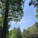 장태울다리 이미지