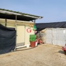 차씨네농장 이미지