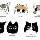 동네고양이