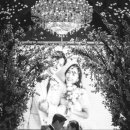 호텔리츠 이미지