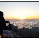 새천년농장 이미지