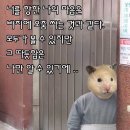 커피플라이 이미지