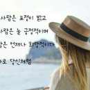 나이테 이미지