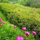 박성준 농장 이미지