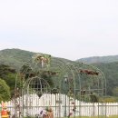 터널게이트(나) 네이버블로그