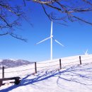 삼양목장 이미지