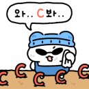 베이프데이 이미지