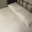 제주 스탠다드 이미지