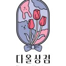다올투어 이미지