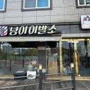 냥이 이발소 이미지