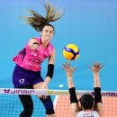 흥국생명 이미지