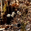 오죽경로당 이미지