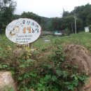 내동농장 이미지