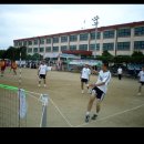 연동초교 이미지