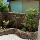 동암바당 이미지