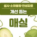 매실 먹으면 좋은점 매실액 매실주 매실청 매실차 먹으면 좋은점 안좋은점 매실 수확시기 이미지