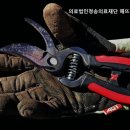 의료법인 청송의료재단 이미지