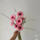 대전꽃도매 - 9753 | 대전 가성비 부케 추천, 대전 꽃 도매시장 토마토플라워 내돈내산 후기