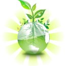 신평1동-1 이미지