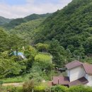 영월부동산공인중개사사무소 이미지