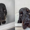 인형과 함께 이미지