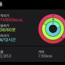 핏츠 이미지