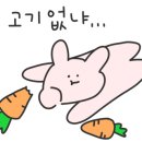 오늘잡은돼지 네이버블로그