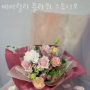 메이릴리 이미지
