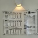 어서와 댕댕아 이미지